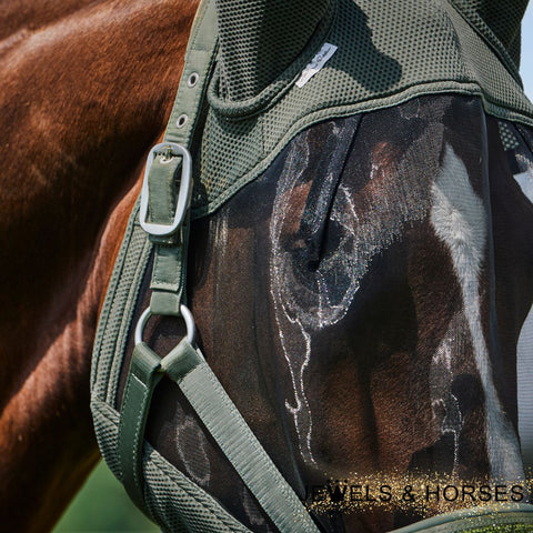 fly protection for horses