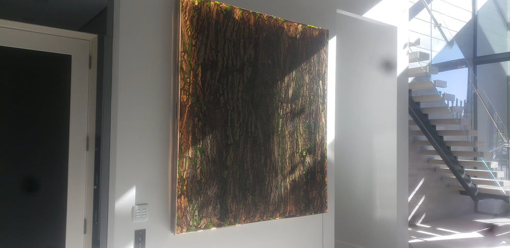 Arditi Collection® - JUNGLE WALL ART