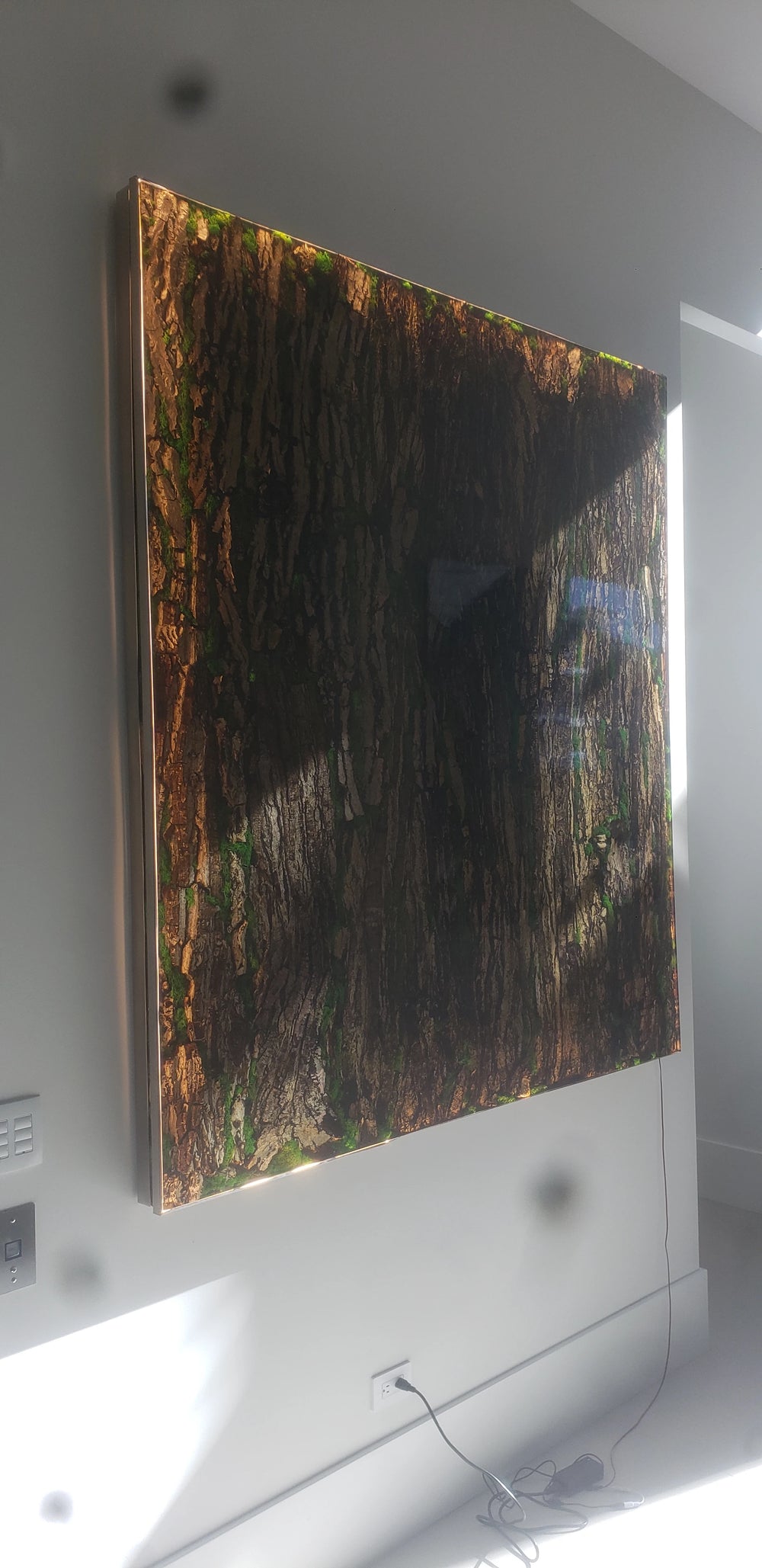 Arditi Collection® - JUNGLE WALL ART