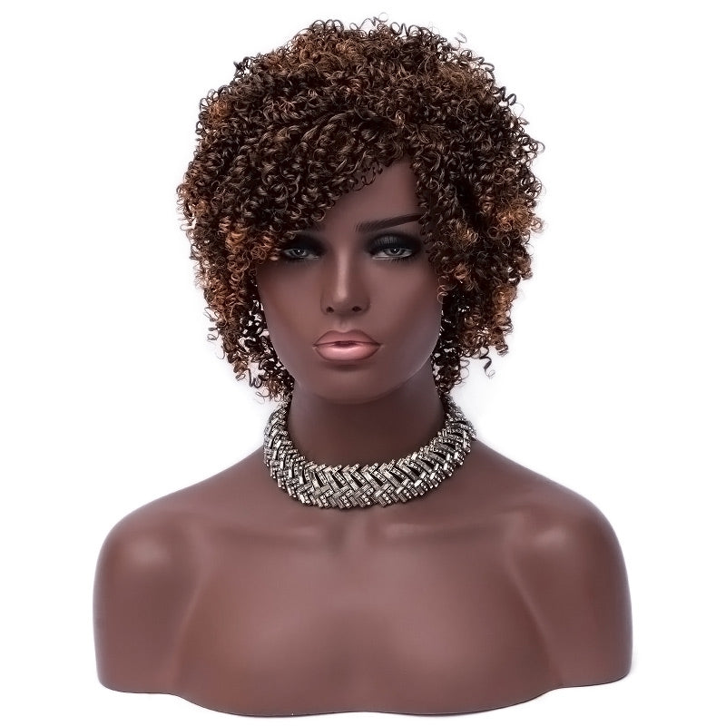 Short Side Bang Colormix Kinky Curly Synthetic Wig