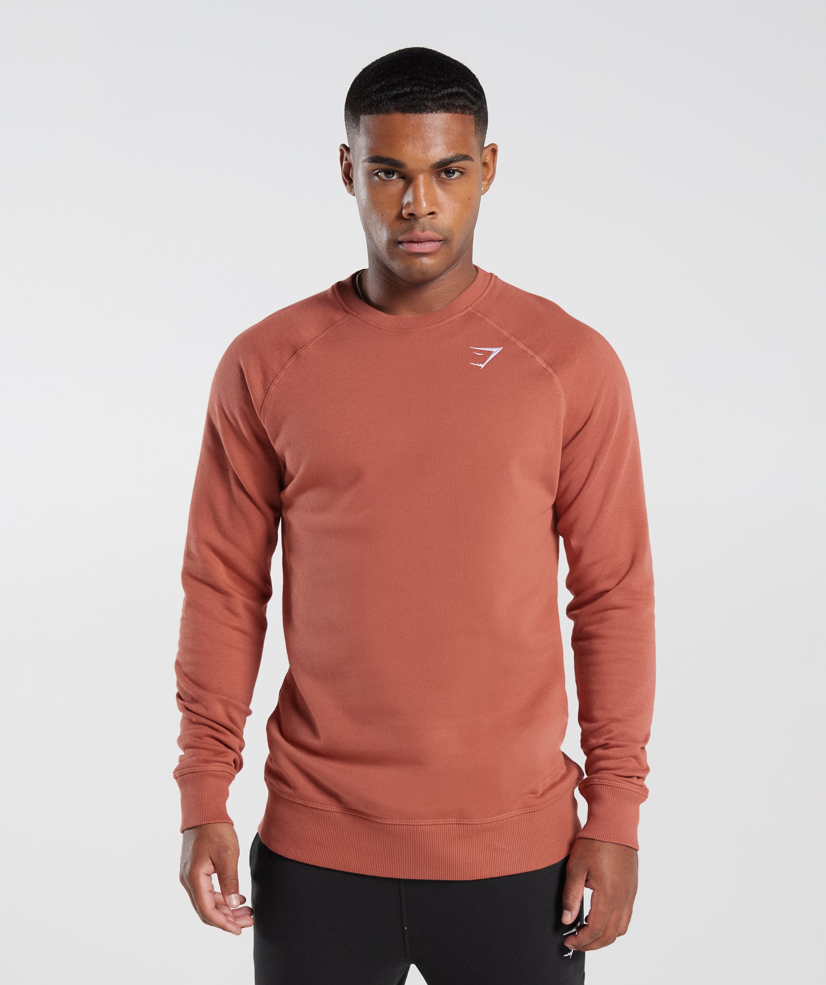 Crest Sweatshirt in Persimmon Red - view 1