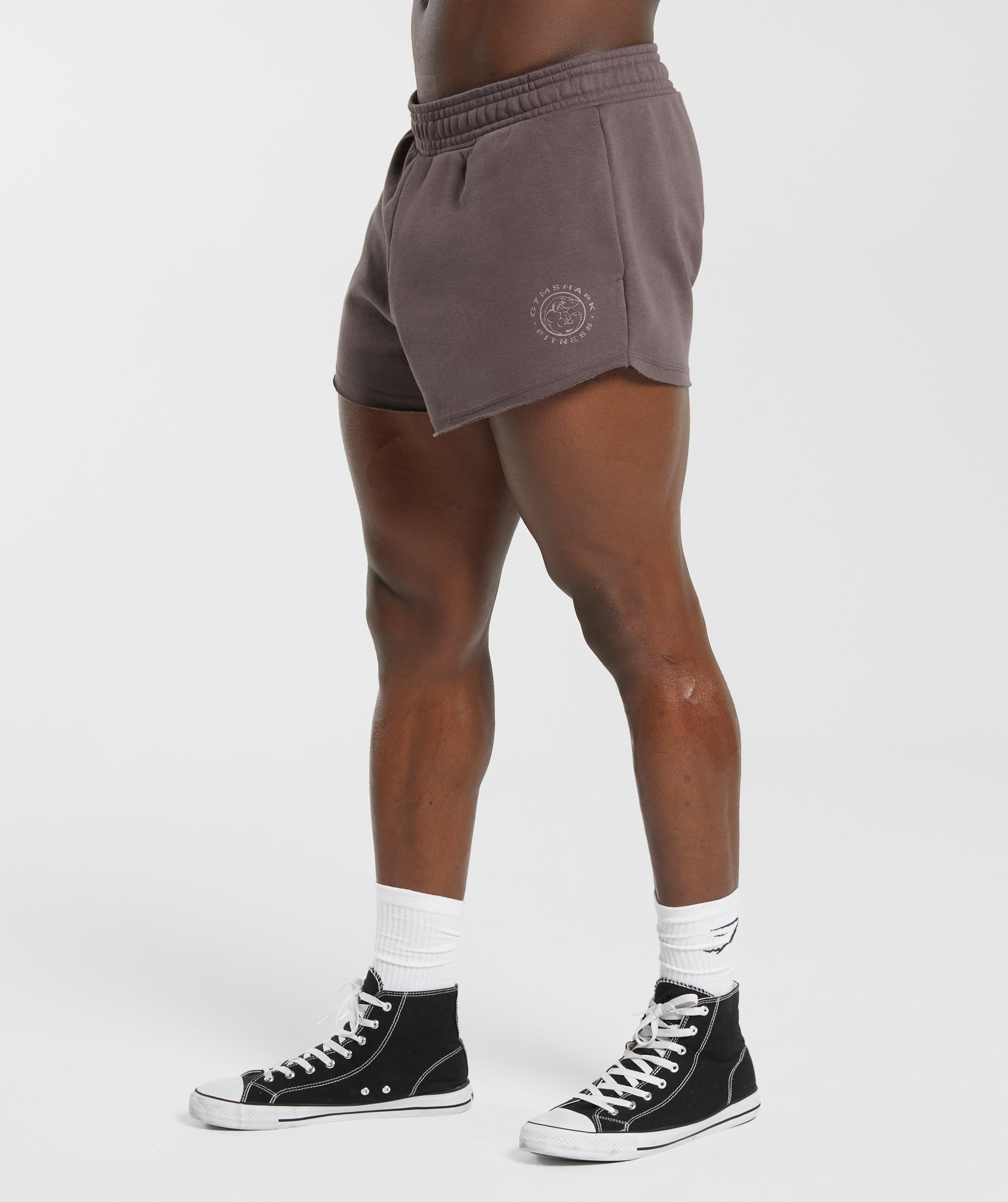 Legacy 4" Shorts in Walnut Mauve - view 3