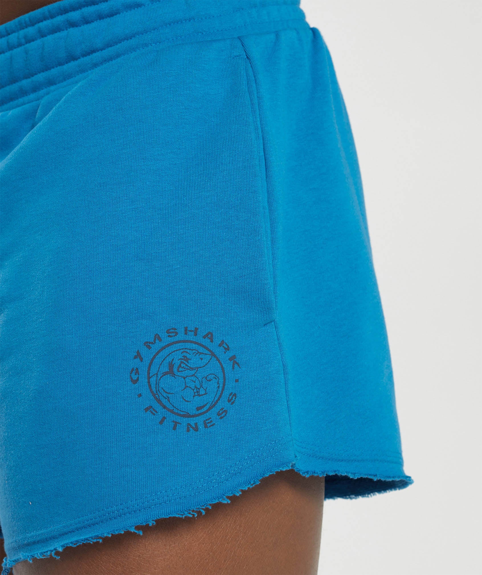 Legacy 4" Shorts in Retro Blue - view 5