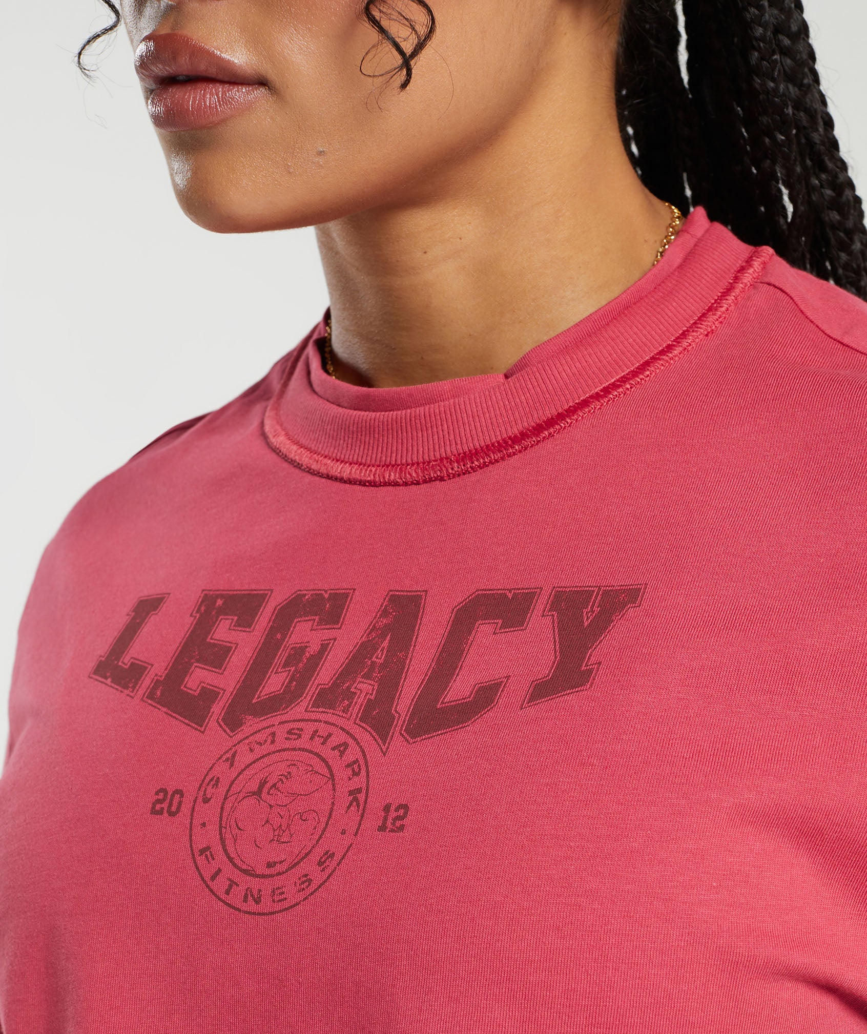 Legacy Graphic Crop Top in Vintage Pink - view 5