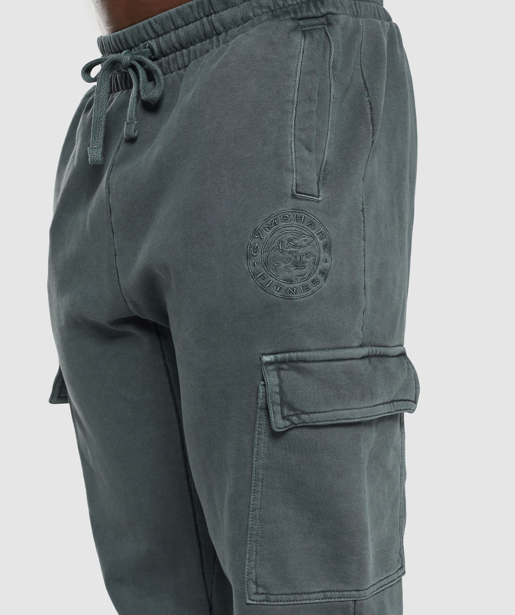 Premium Legacy Cargo Pants in Cargo Teal - view 5