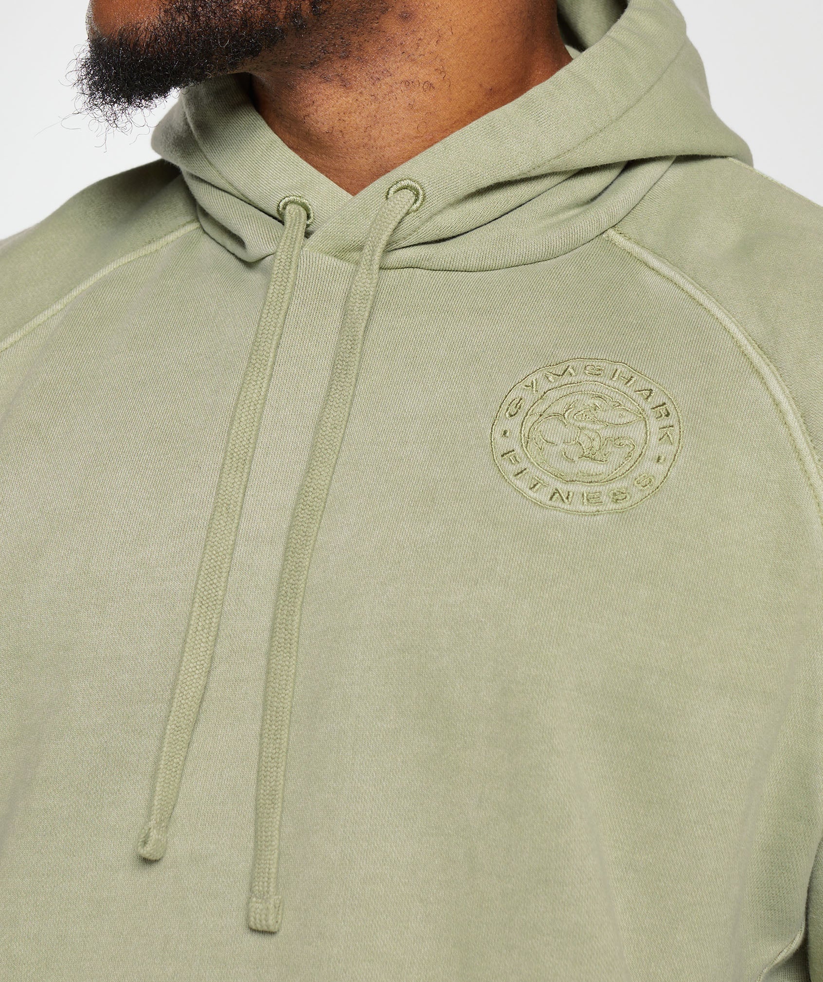 Premium Legacy Hoodie in Natural Sage Green - view 5