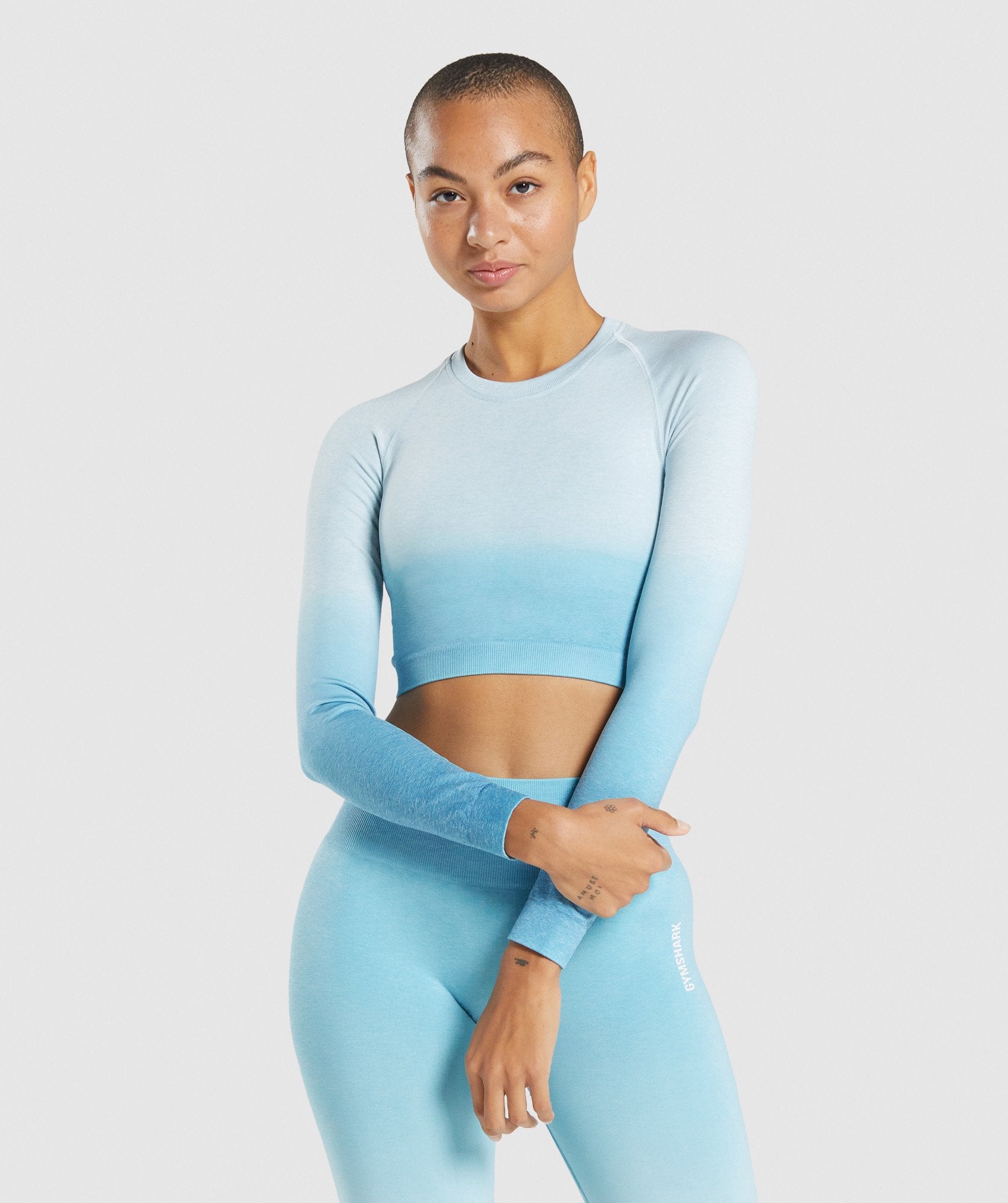 Adapt Ombre Seamless Long Sleeve Crop Top