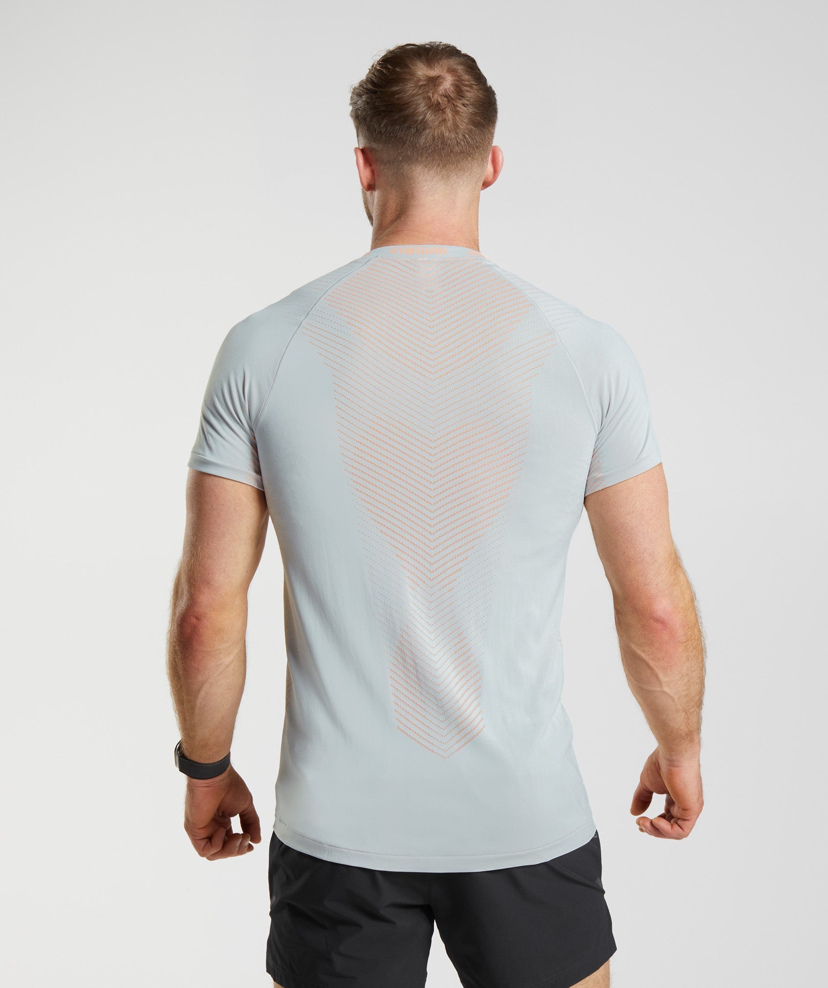 Gymshark Apex Seamless T-Shirt - Light Grey/Medium Grey