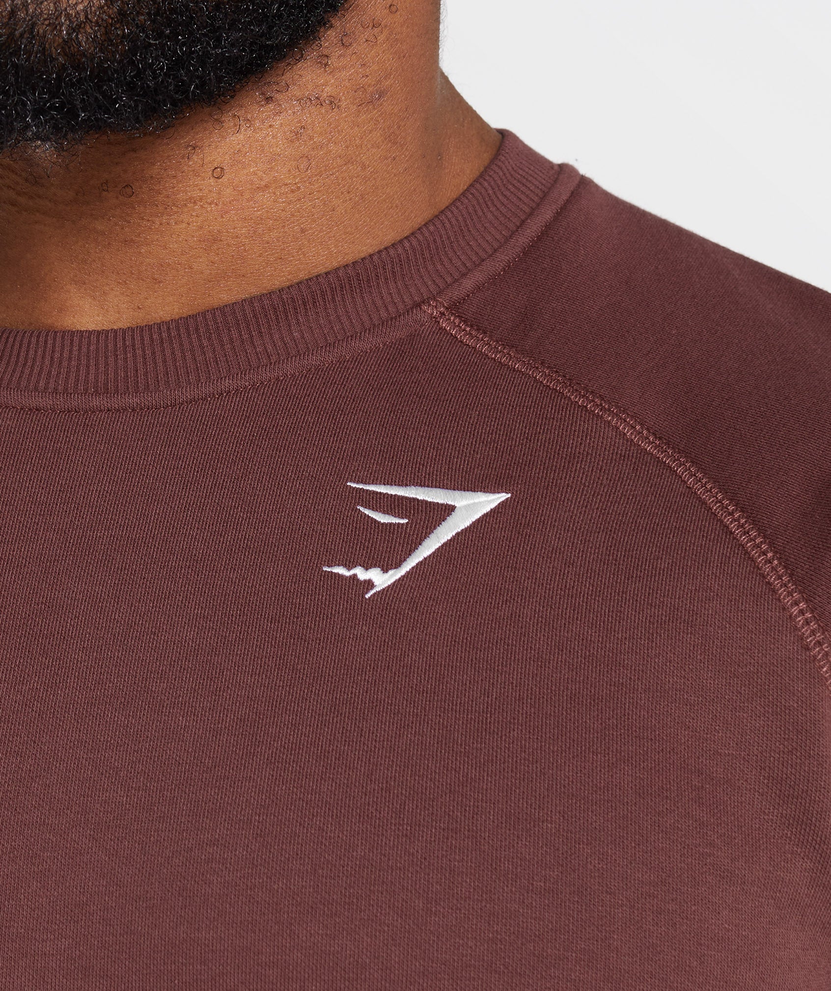 Crest Sweatshirt in Cherry Brown - view 3