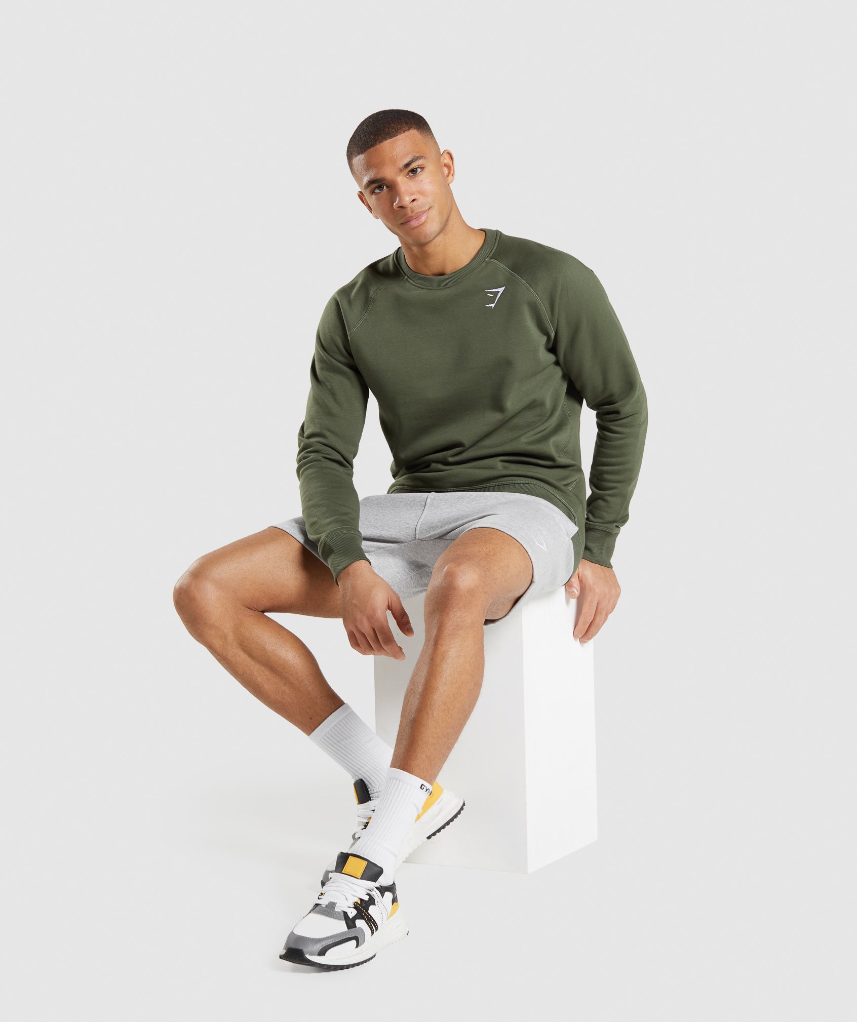 Crest Sweatshirt in Core Olive - view 5