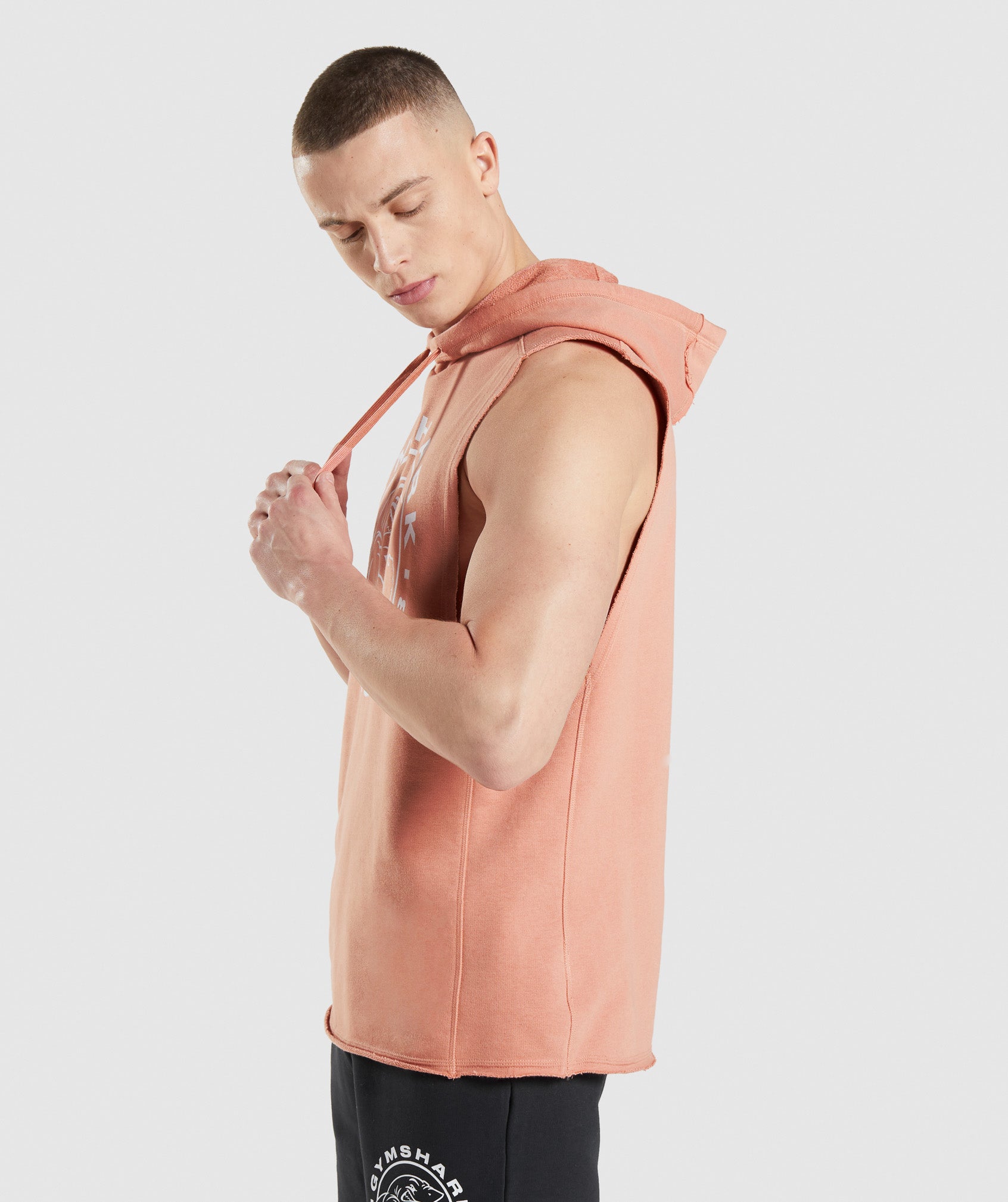 Legacy Drop Arm Hoodie in Nevada Pink