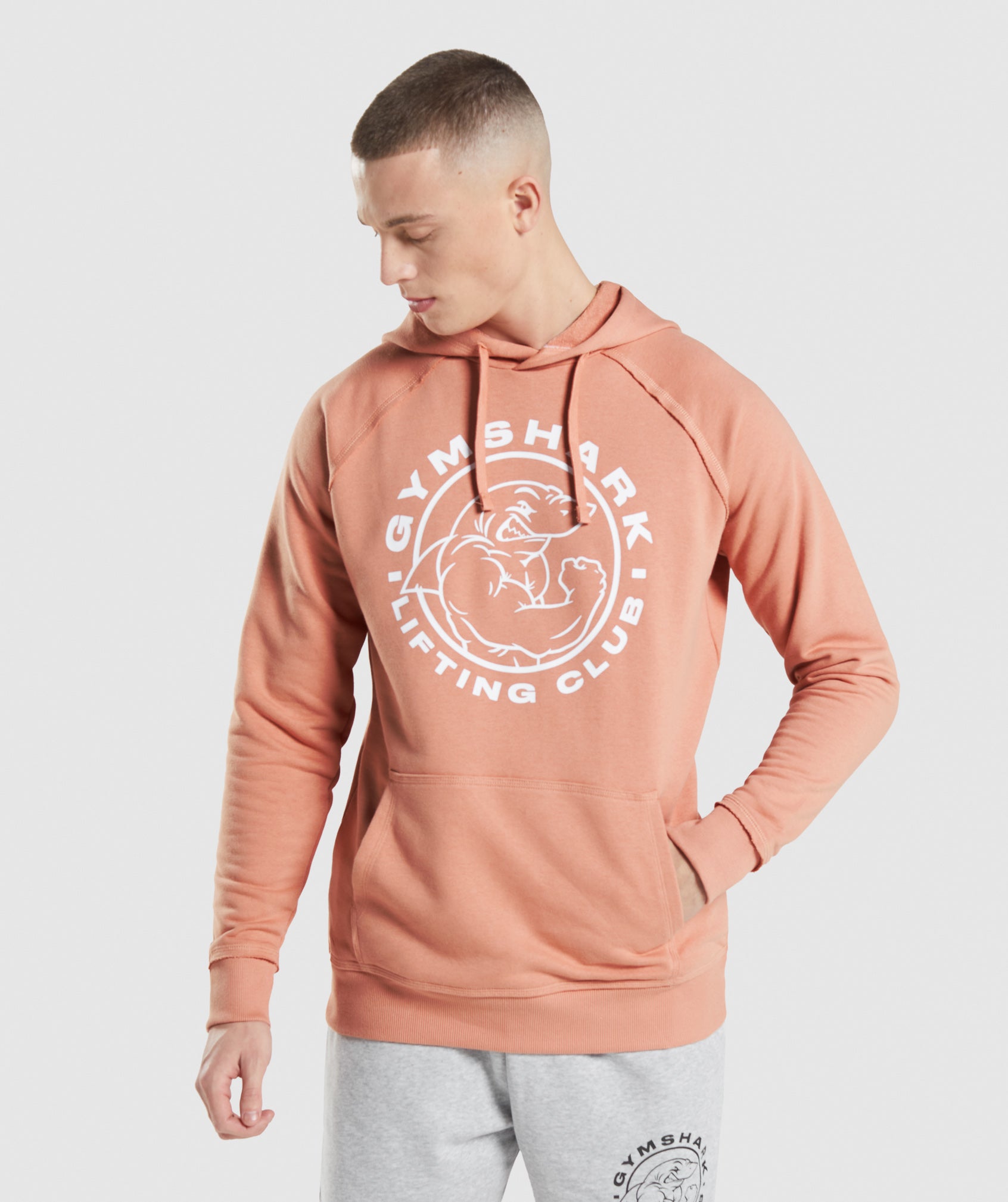 Legacy Hoodie in Nevada Pink - view 1