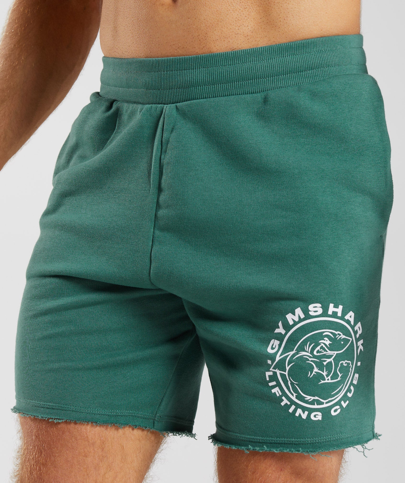 Legacy Shorts in Hoya Green - view 6