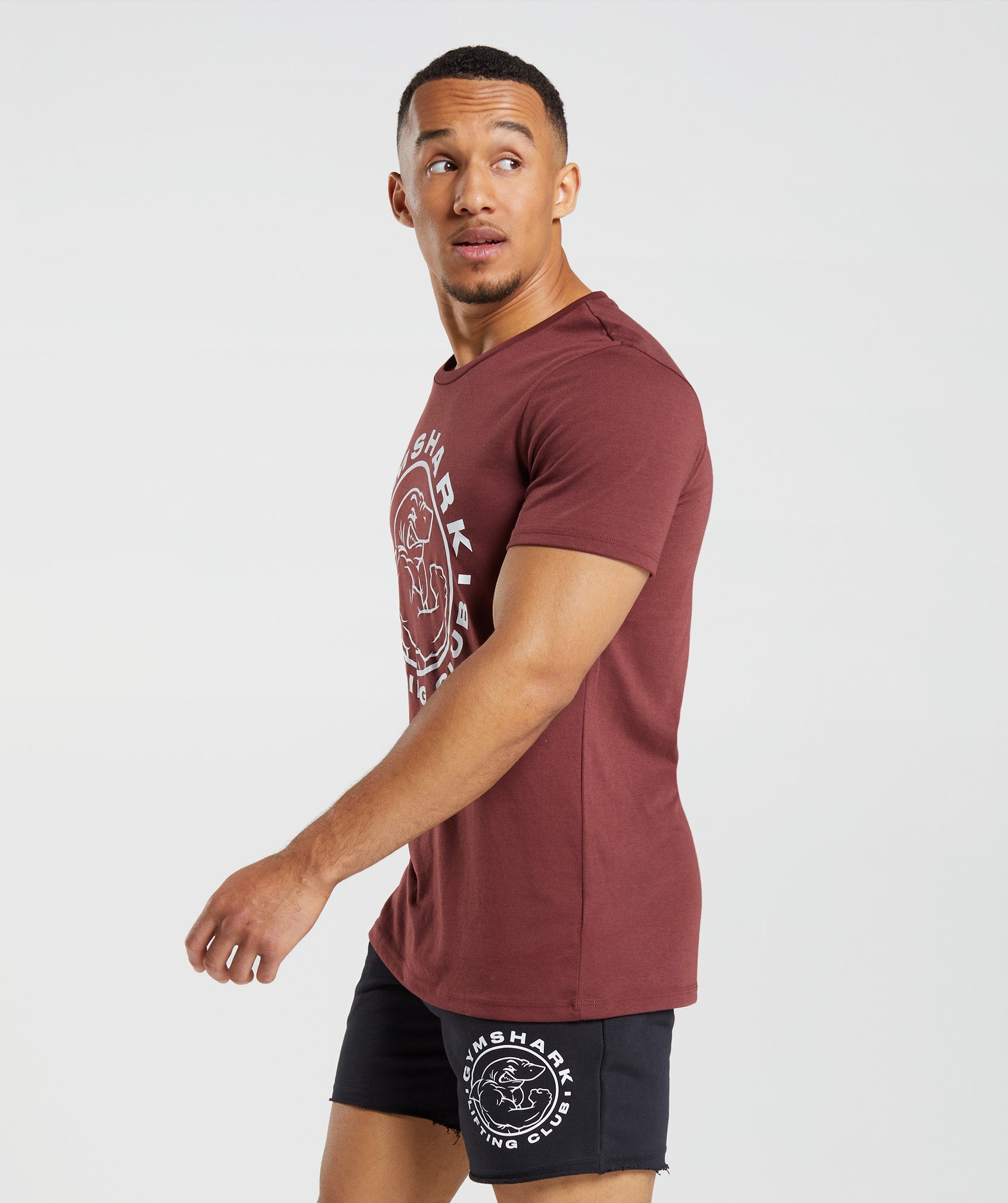 Legacy T-Shirt in Cherry Brown - view 3