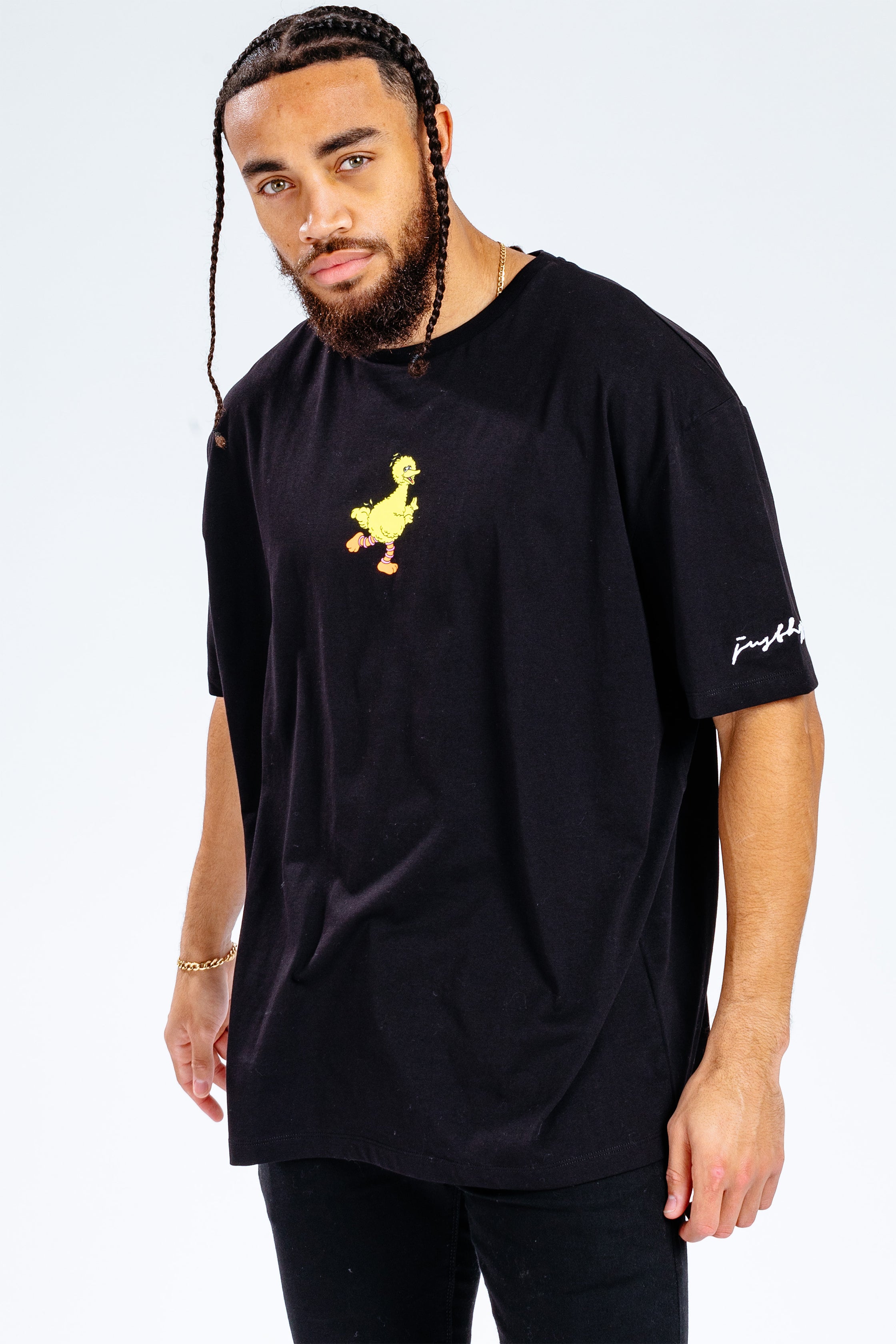 HYPE X SESAME STREET BIG BIRD BLACK LOGO ADULT T-SHIRT