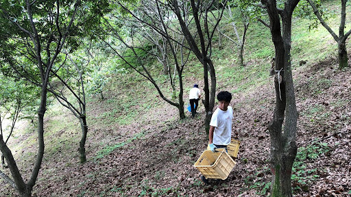 那須栗園