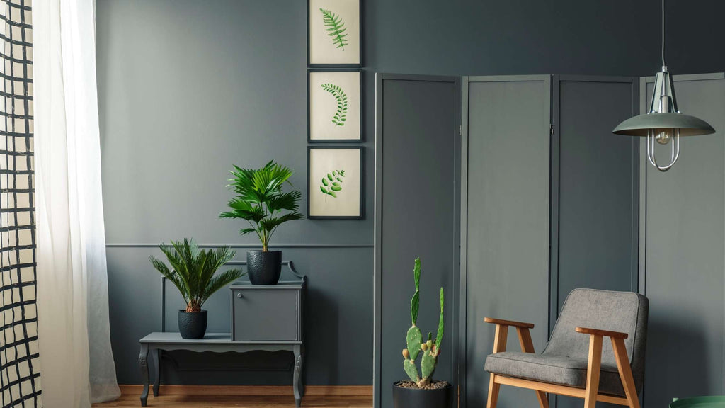 Gray room with green features