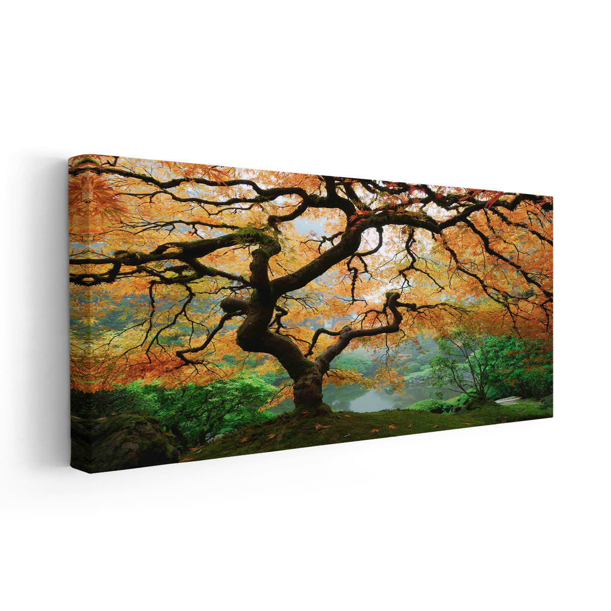 https://cdn.shopify.com/s/files/1/0099/0363/6546/products/Japanese-Maple-in-Autumn-wall-art-1pc-887529_1600x.jpg?v=1680095758