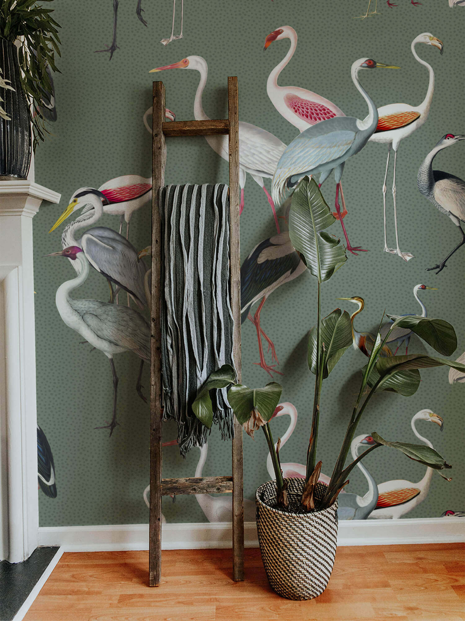 Vintage Birds (removable) Wallpaper | EDGE Wall Art