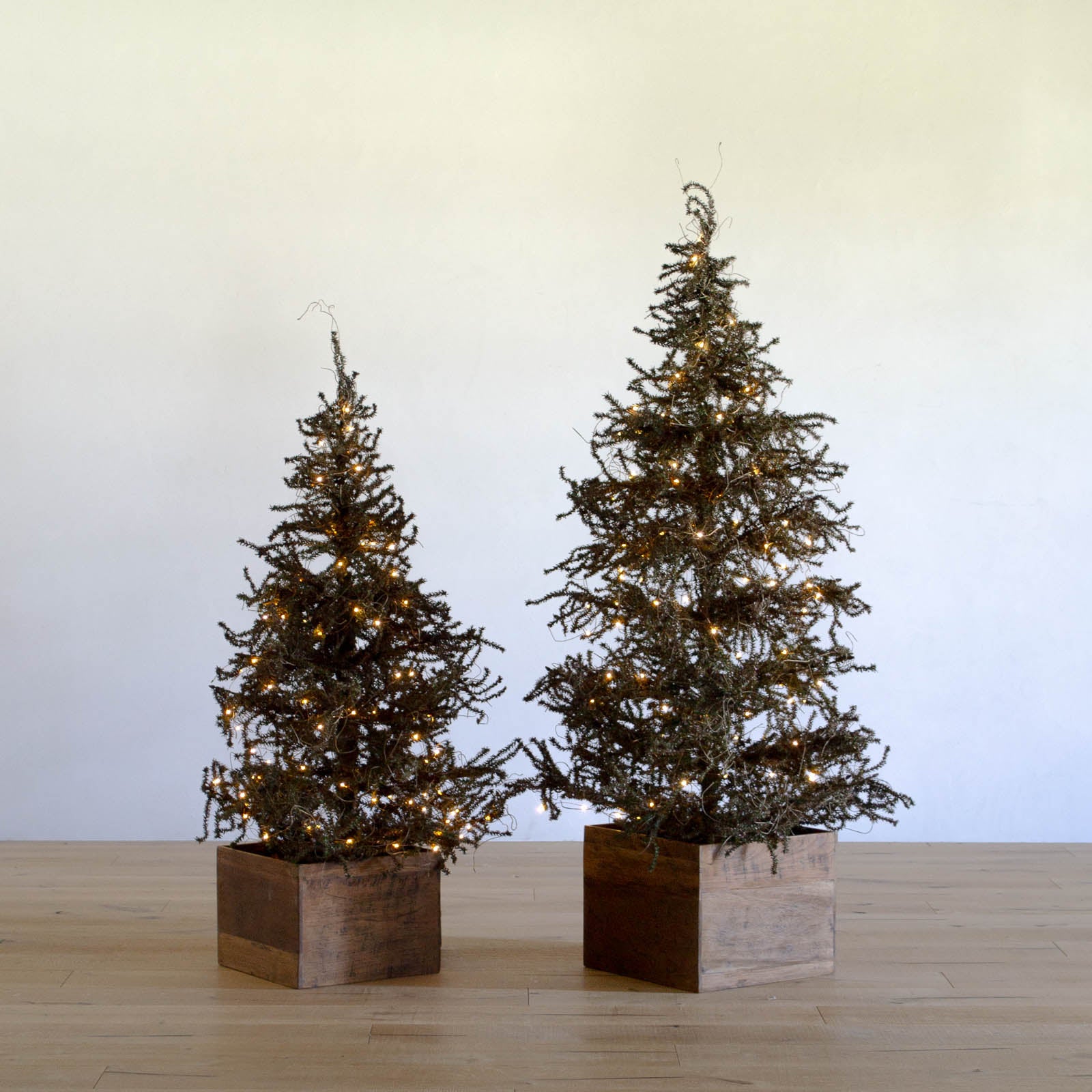 クリスマスツリー — ANTRY USE ONLY GENUINE