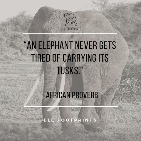 African elephant proverb- elephant tusks