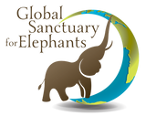 Global Sanctuary for Elephants Logo
