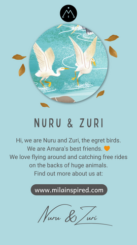 Nuru and Zuri the Egret Birds