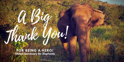 Thank you image from the Global Sanctuary for Elephants