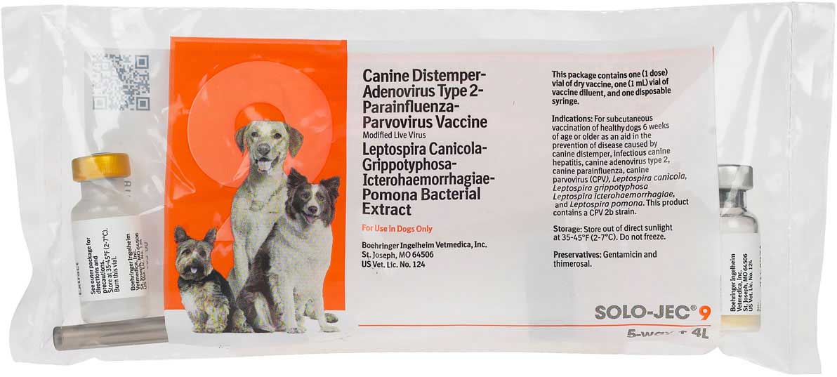 canine spectra 9 for older rescue dogs