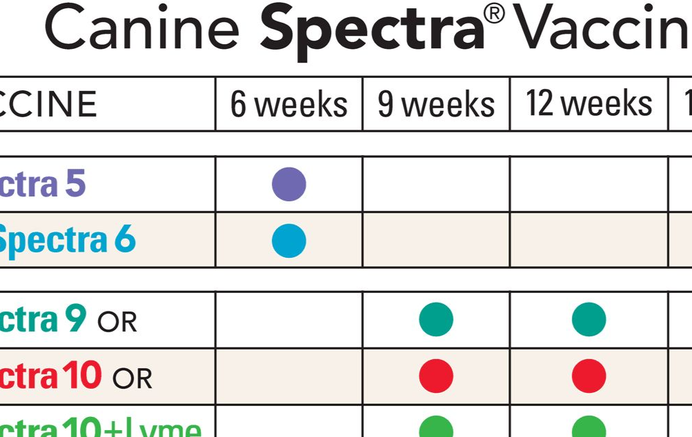 canine spectra 5 dog vaccine