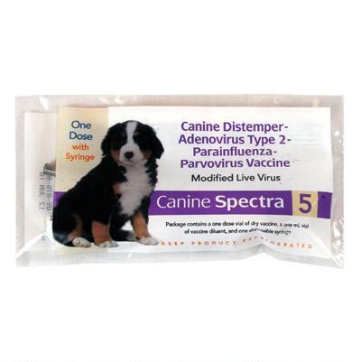 canine spectra 5 vaccination record