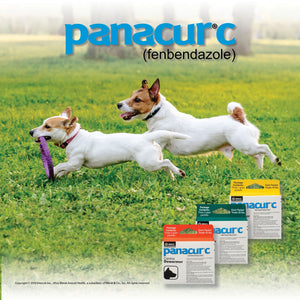 panacur c dosage for cats
