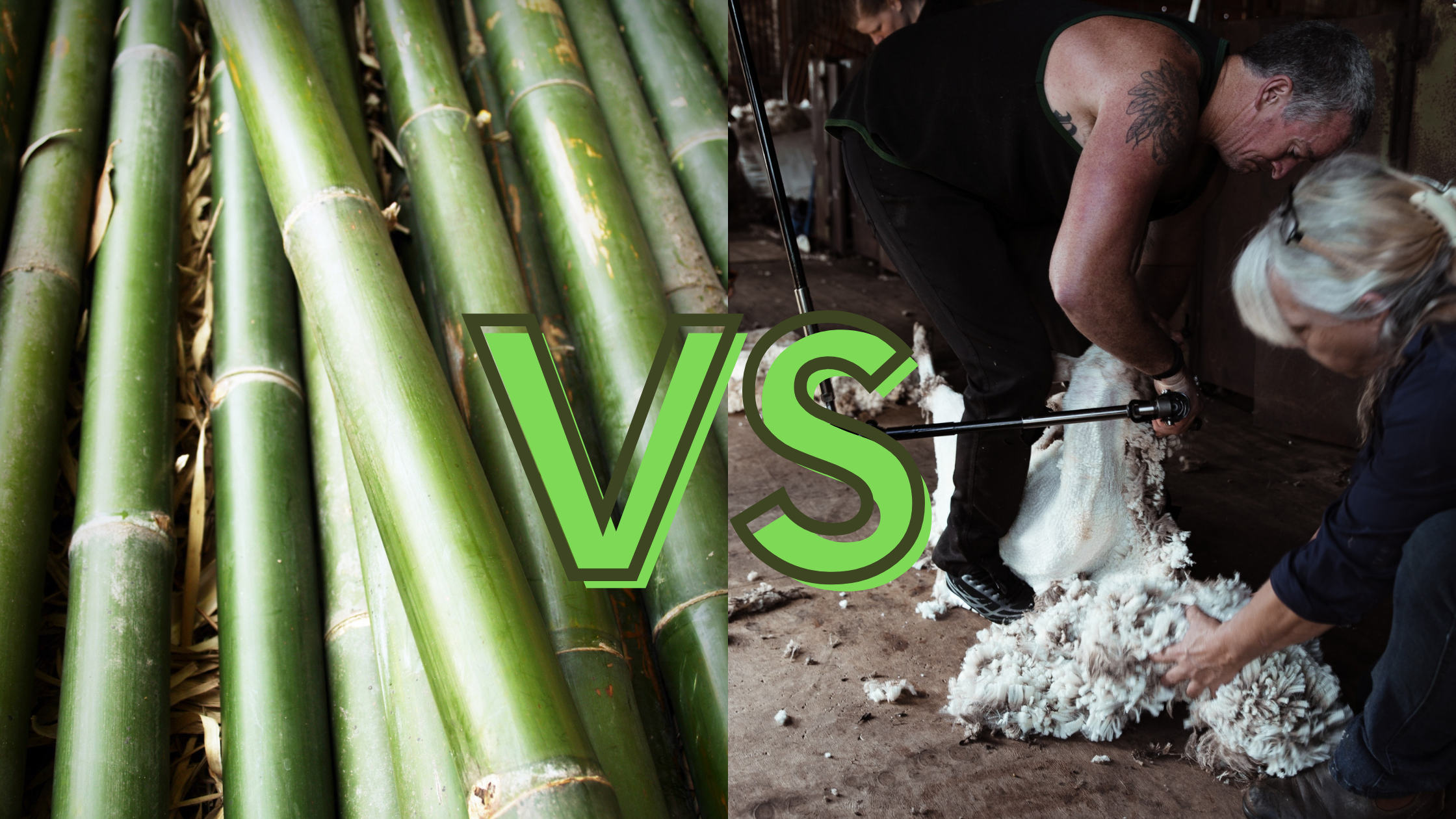 Bamboo vs Wool