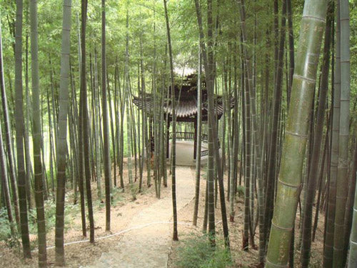 Anji Mounntain Hut