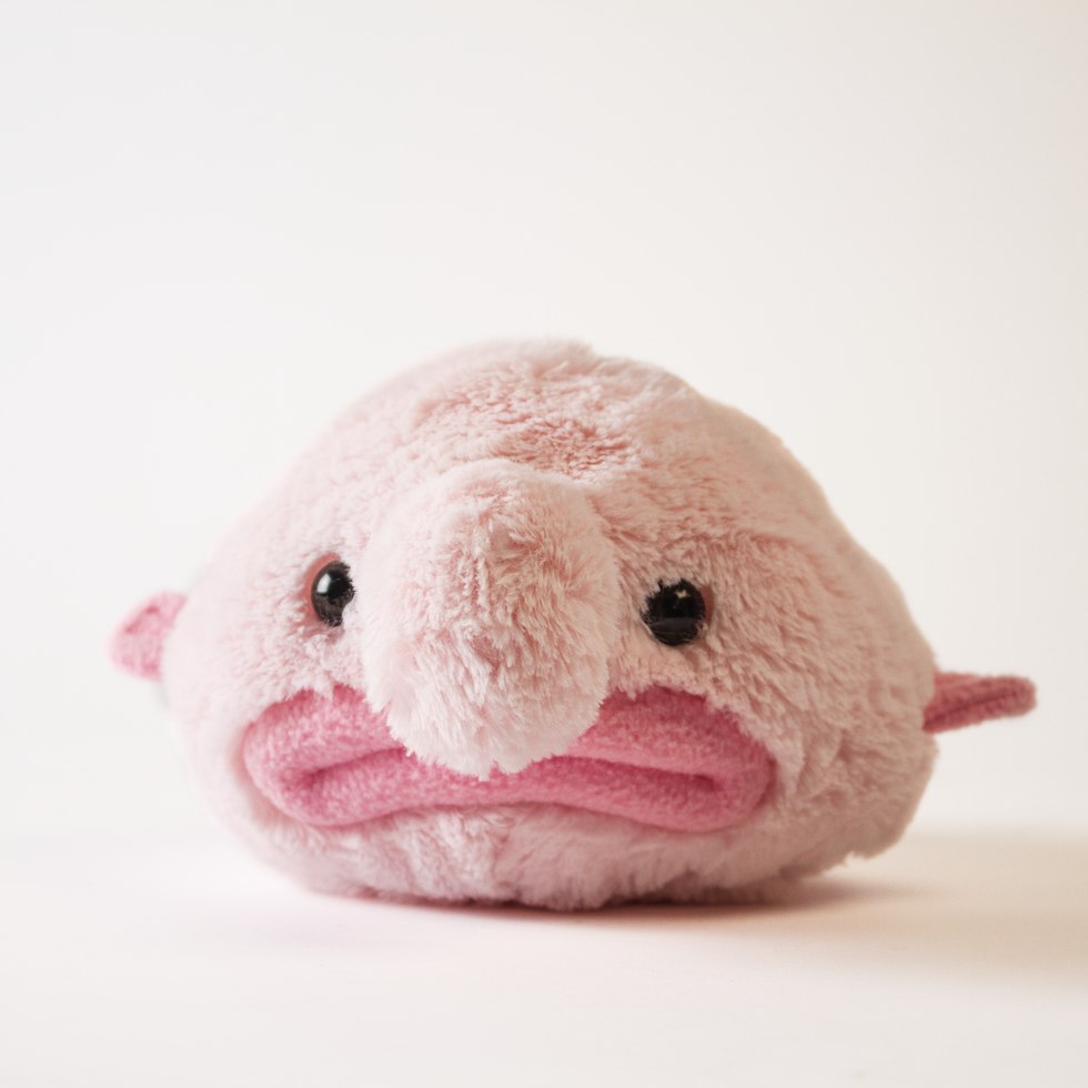 blobfish plush toy