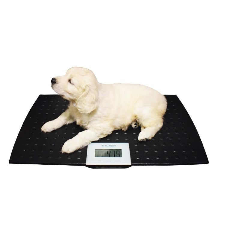 pet weight scales