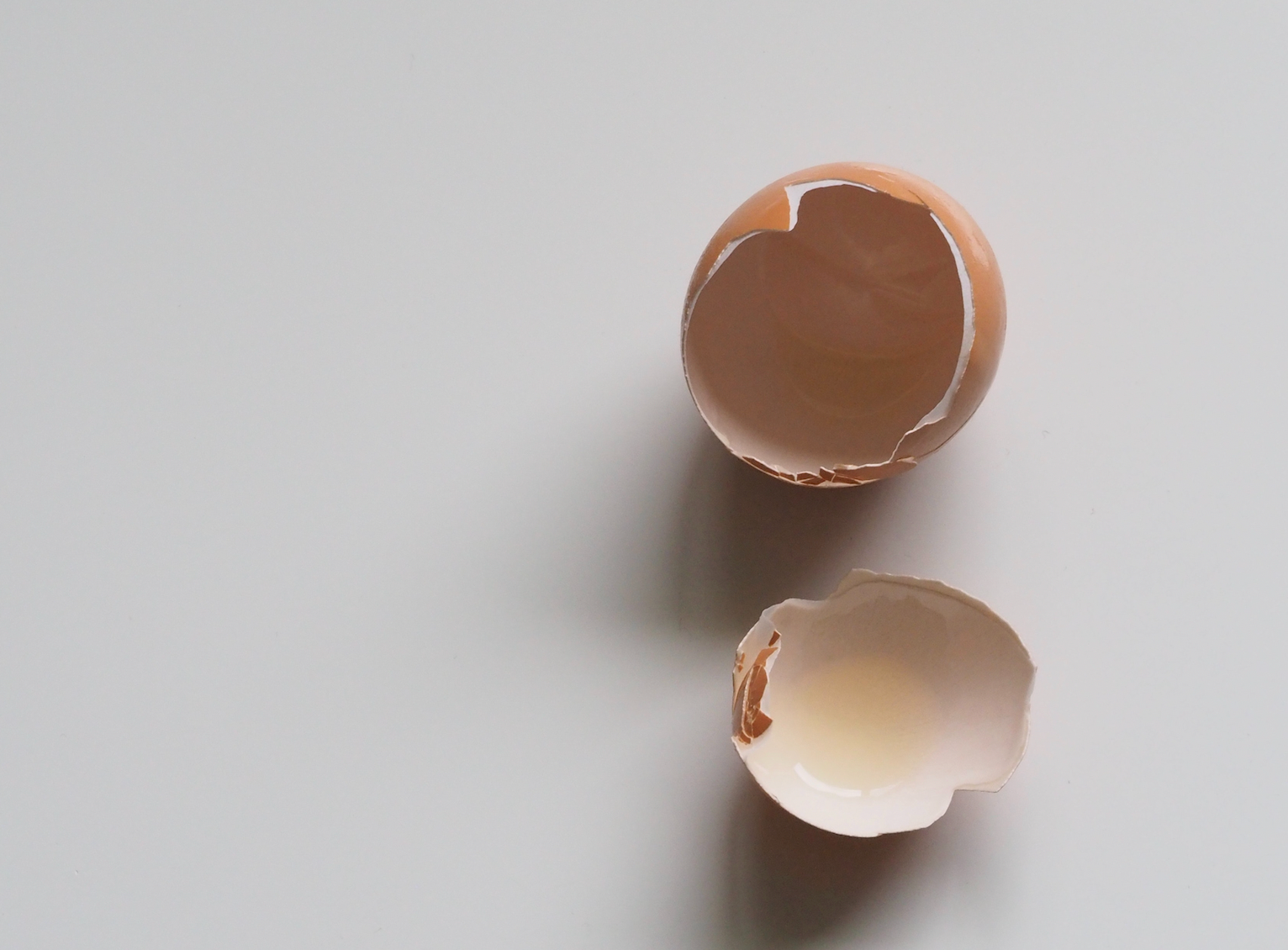 5 Research-Backed Benefits of Eggshell Membrane for Dogs – RocketDog