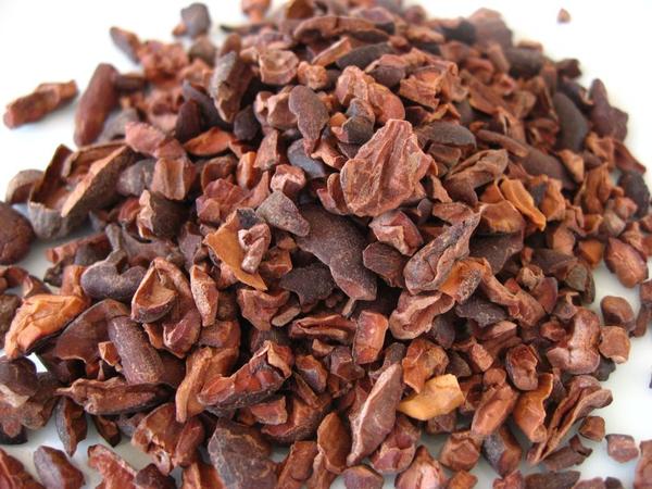 dried cacao beans cacao nibs close up view