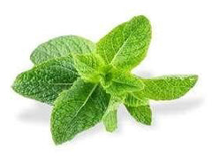 PEPPERMINT OIL