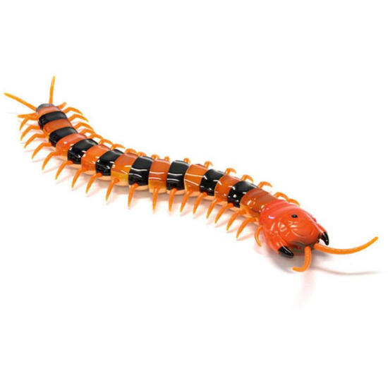 millipede toy