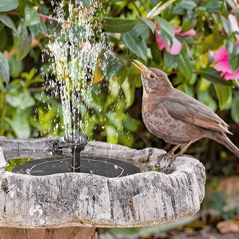 solar water fountain, solar powered fountain , solar garden water features ,  solar bird bath fountain ,  solar powered water fountain ,  solar powered water feature ,  solar water feature