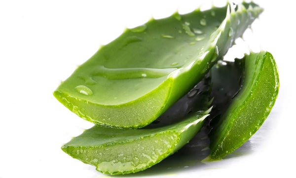 Aloe Vera als Hausmittel gegen geschwollenes Zahnfleisch