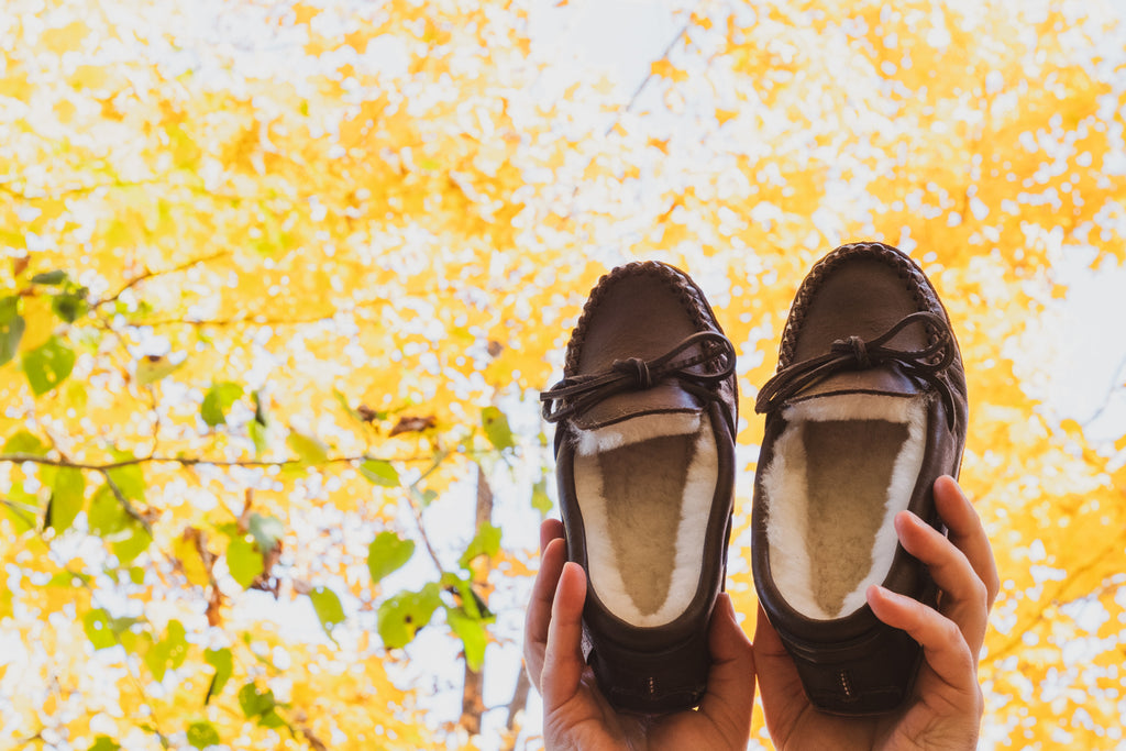 Lined moccasins with a backdrop of fall yellow colored leaves in the background
