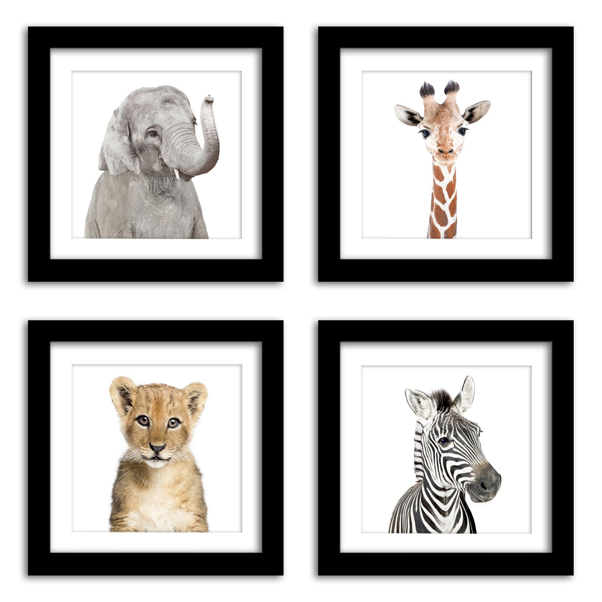 Download 4 Piece Gallery Wall Set Americanflat