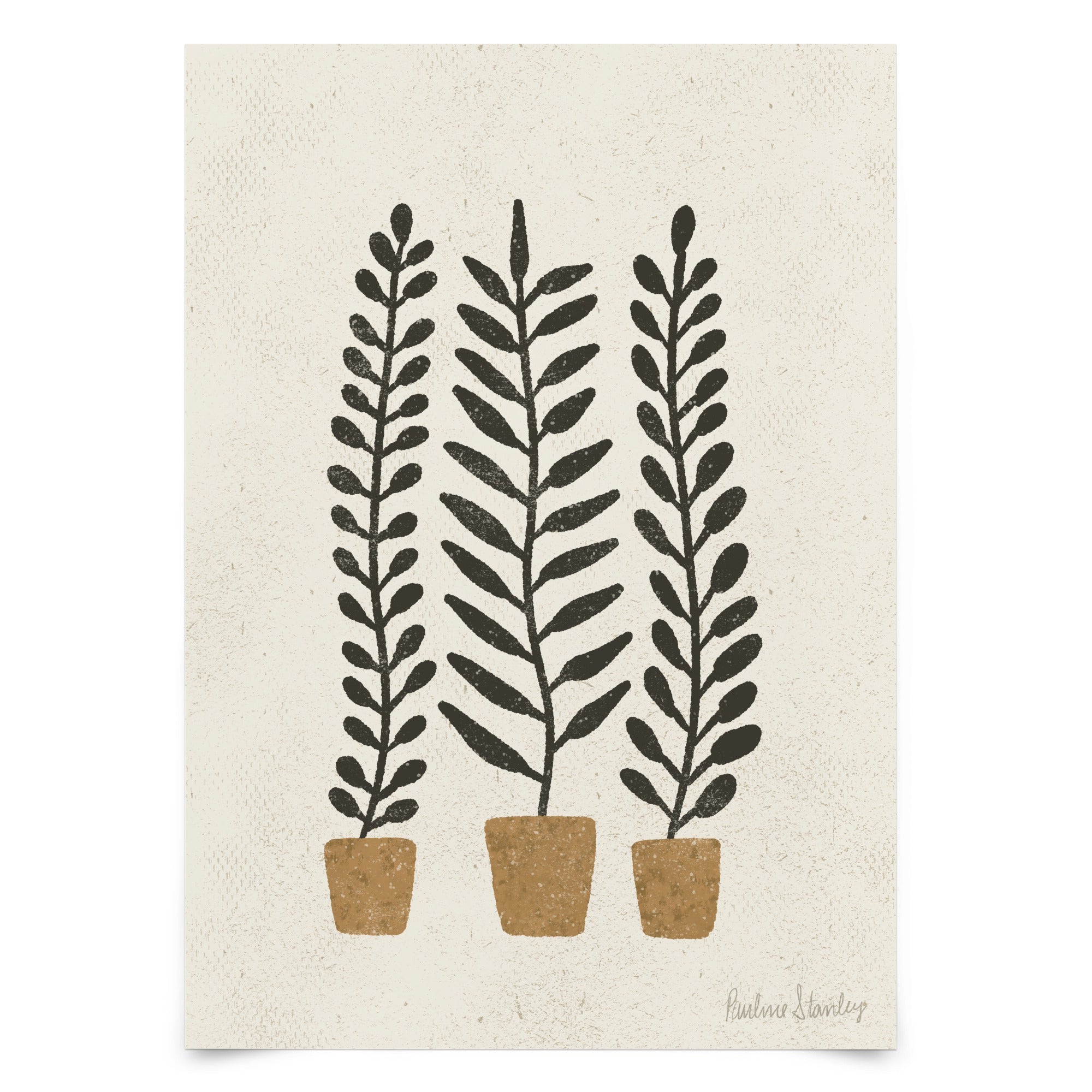Potted Ferns Terracotta Black by Pauline Stanley - Art Print - Americanflat