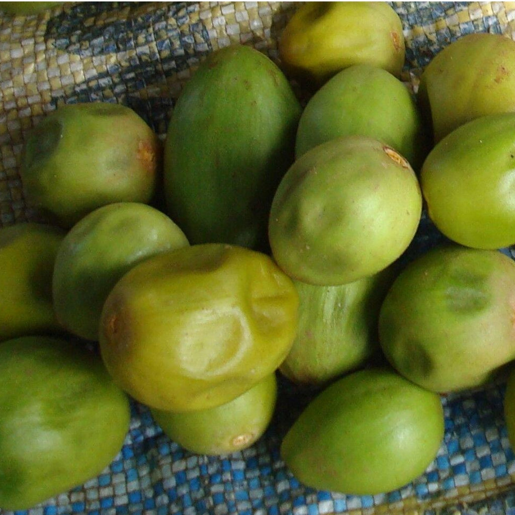 Fruit from the Shea Butter Tree