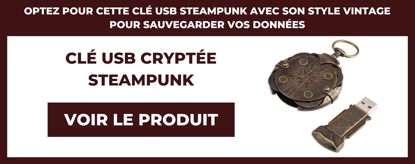 clé usb cryptée steampunk