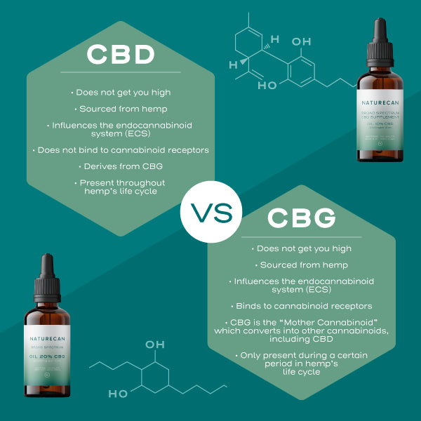 Infographic CBD vs CBG 