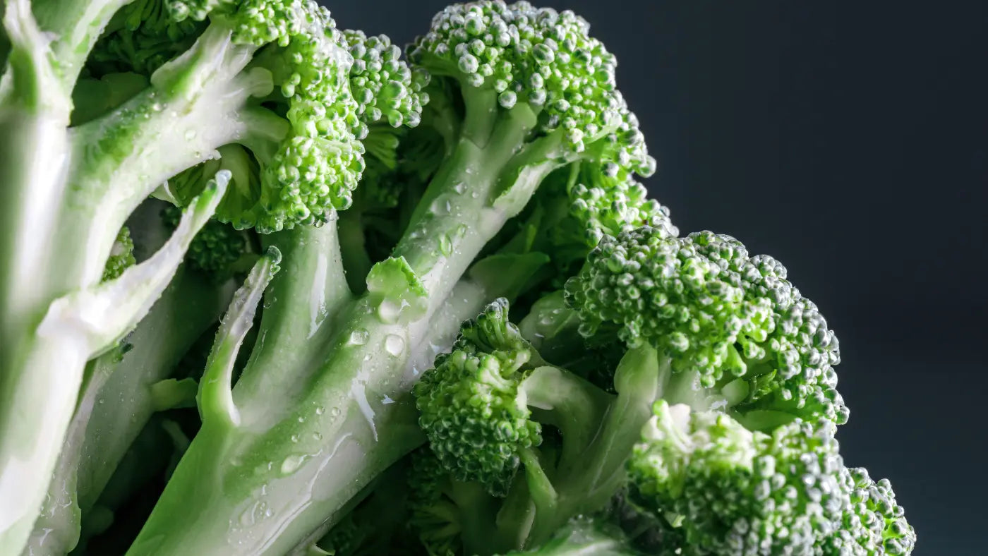Broccoli sprouts on grey background with water droplets