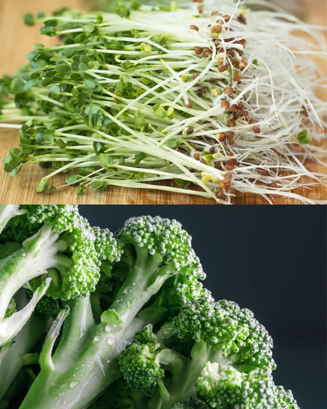 Broccoli sprouts and Broccoli stems 